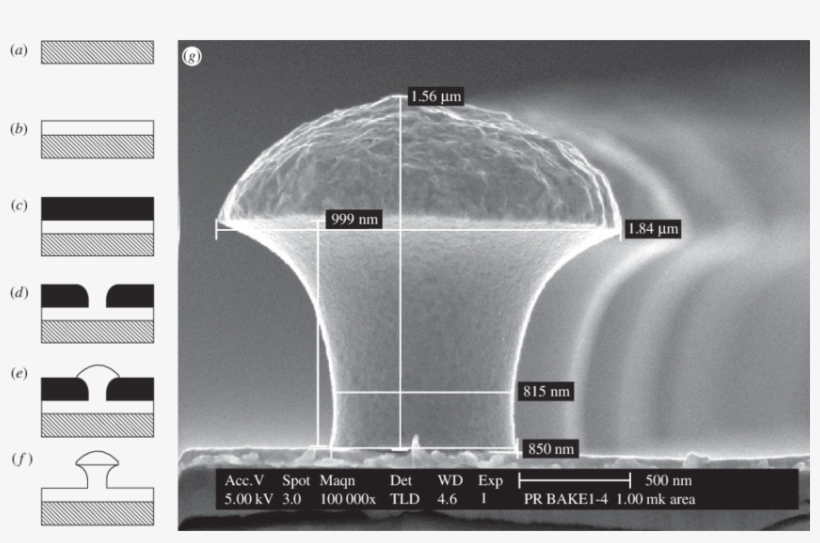 Silicon Or Glass Samples Are Coated With A Cr/au Layer - Arch, transparent png download