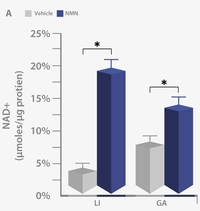 This Is The Best Indication We Have To Date, But Was - Diagram, transparent png download