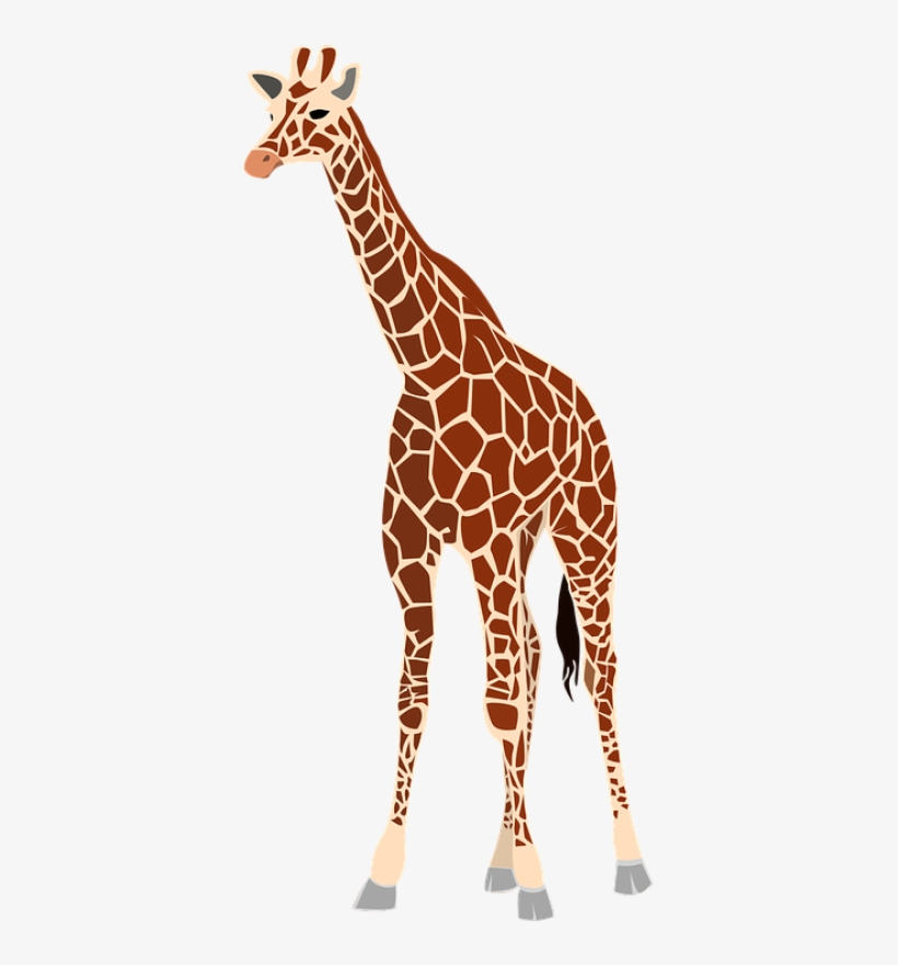 Giraffe, Mammal, Animal, Herb - Giraffe In Arabic Word, transparent png download