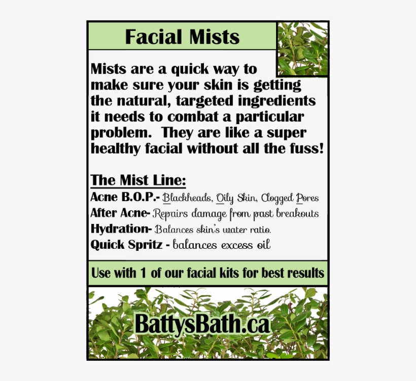 2014 Mists Line Up - Career Expo, transparent png download