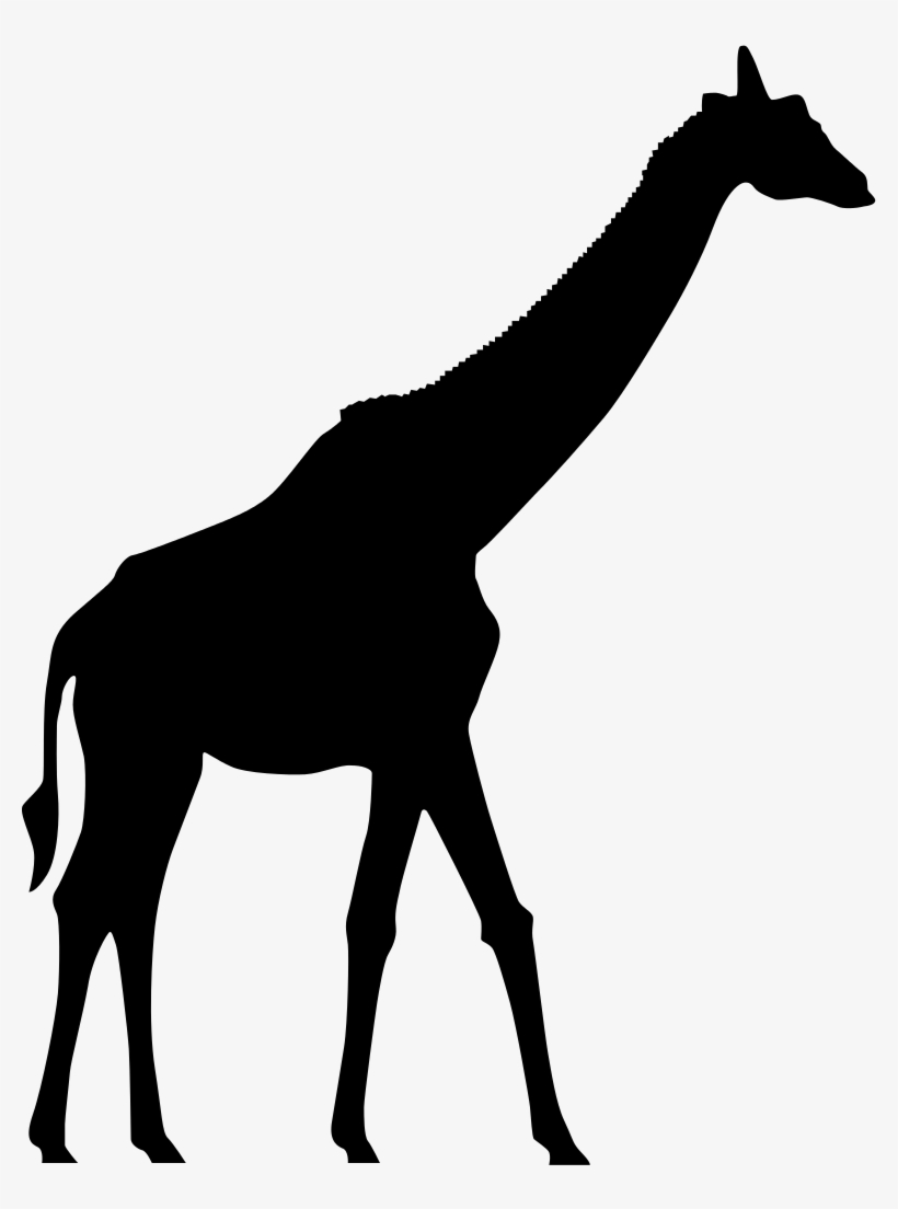 780 X 1024 3 - Sombra De Uma Girafa, transparent png download