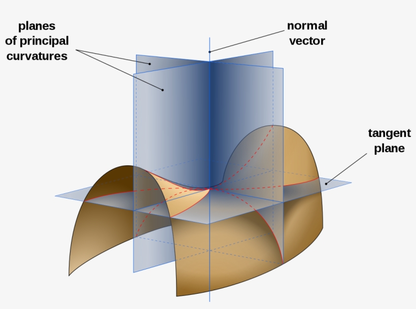 Normal Plane - Planes Of Principal Curvature, transparent png download