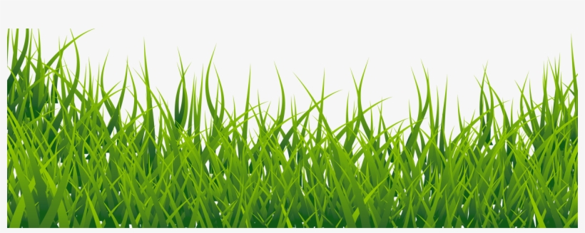 Countdown Until - Grass Image Hd Png, transparent png download
