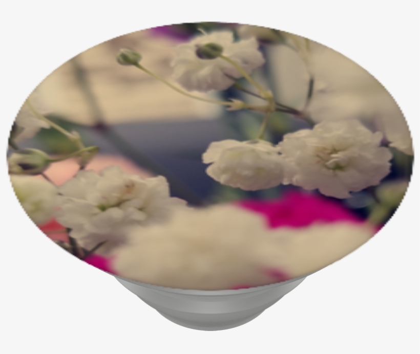 In A Field Of Flowers, - Bougainvillea, transparent png download