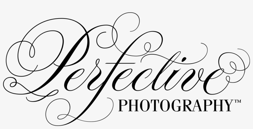 Perfective Photography - Calligraphy, transparent png download