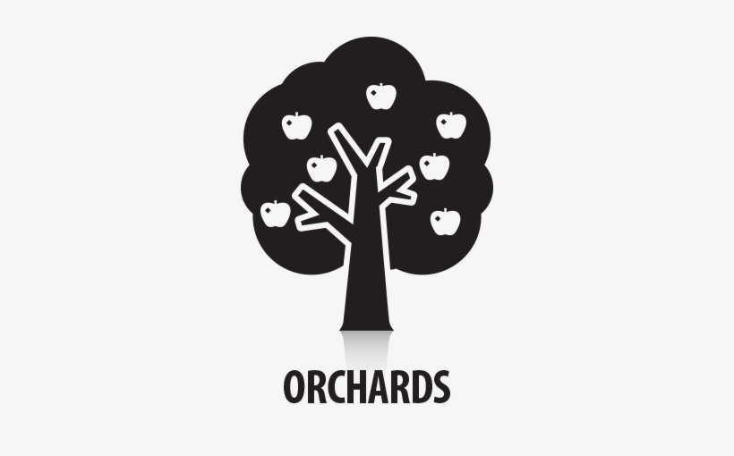 Orchards - Illustration, transparent png download