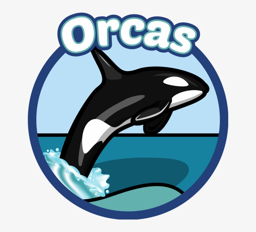 Harbor Heights Elementary Harbor Heights Elementary, transparent png download