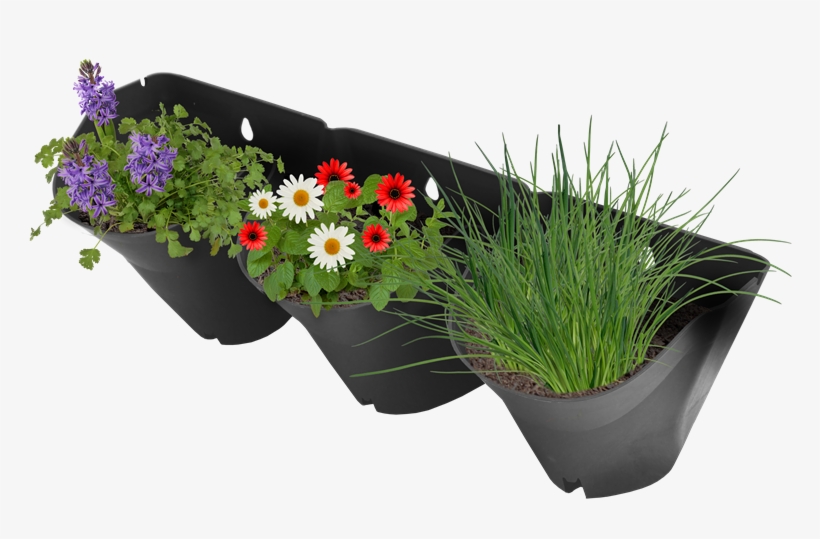 800 X 800 3 - Vertical Garden Bunnings, transparent png download