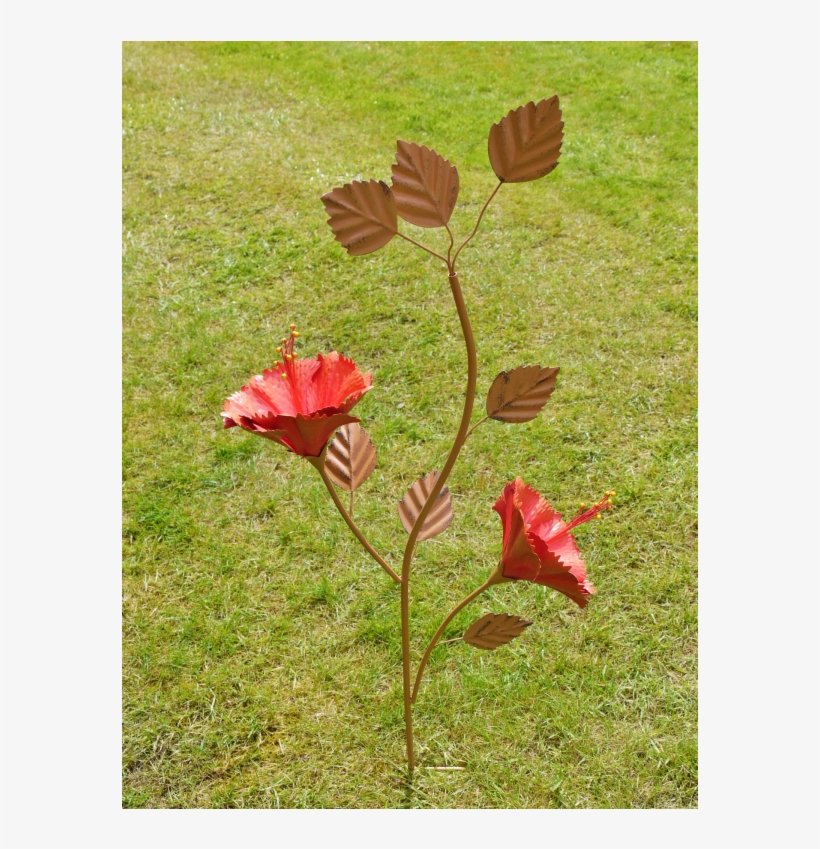 Four O'clock Family, transparent png download