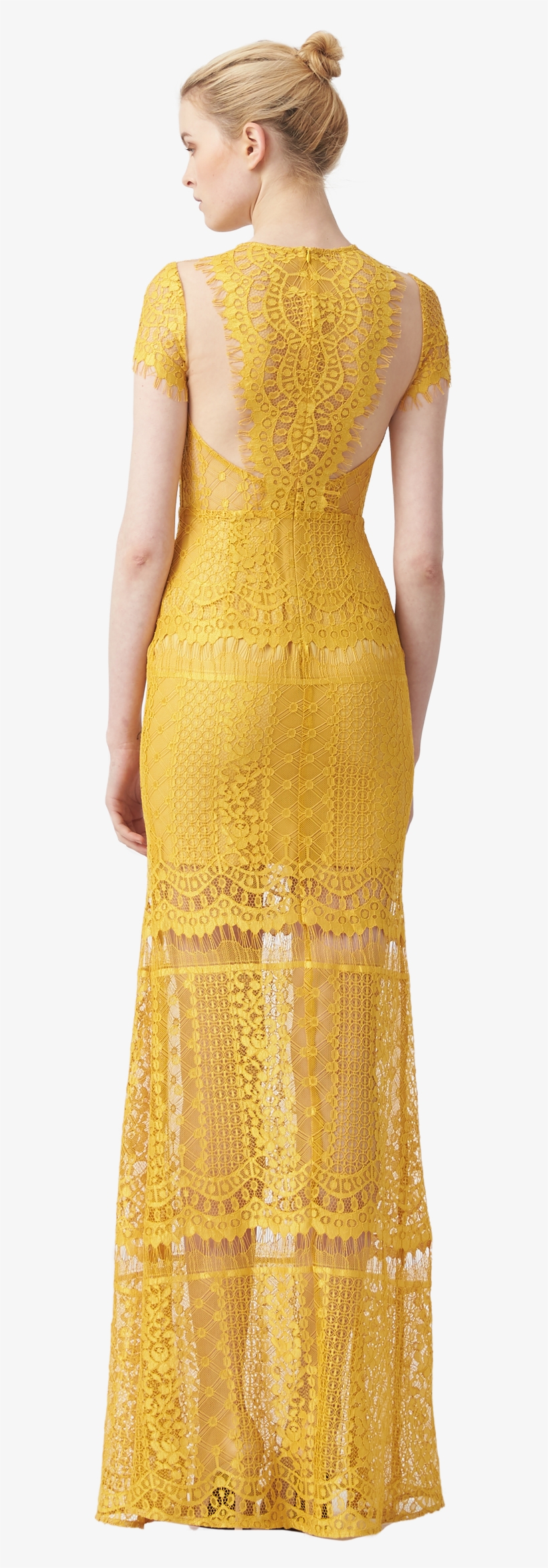 Melanie Cap Sleeve Lace - Gown, transparent png download