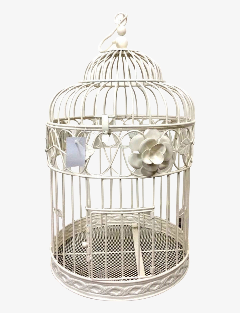 Bird Card Wishing Well, transparent png download