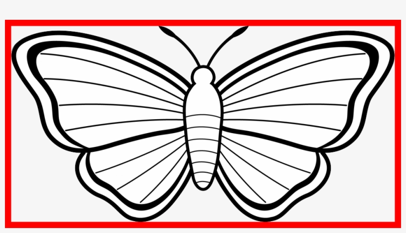 Transparent Library Astonishing Image For Popular Clip - Colouring Page Of A Butterfly, transparent png download