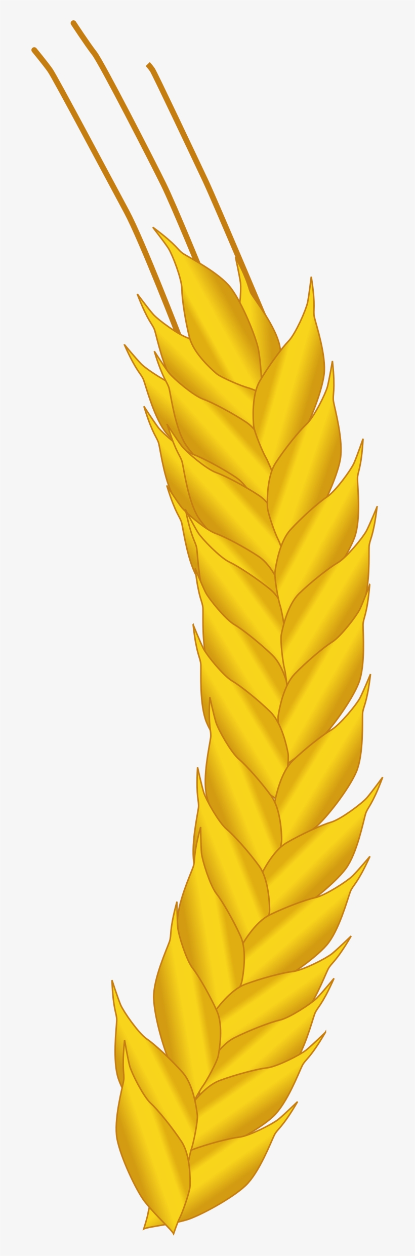 This Free Icons Png Design Of Ear Of Corn, transparent png download