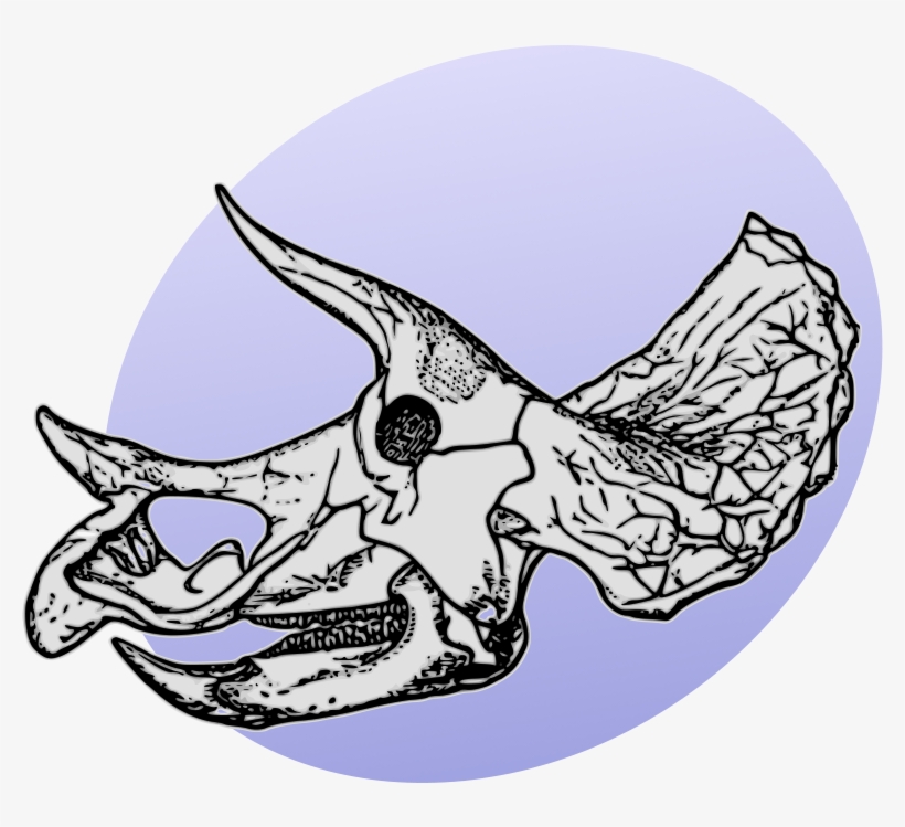 P Dinosaurs Pl - Triceratops Skeleton, transparent png download