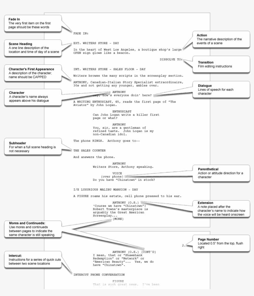 Using Microsoft Word Begin Writing A Short Scene Using - Screenplay Format, transparent png download