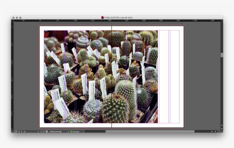 These Are A Few Screen Grabs From The Design Process - Prickly Pear, transparent png download