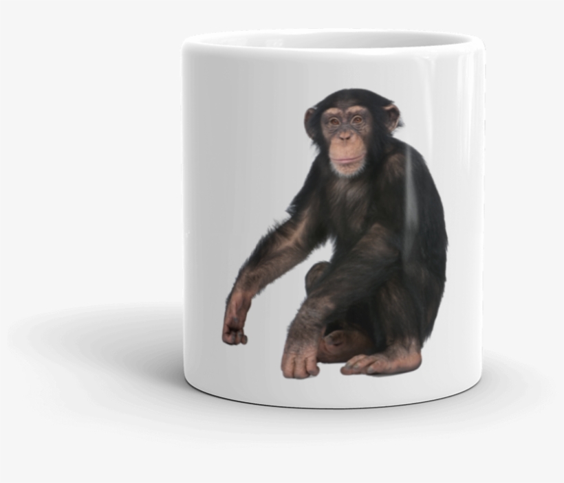 Chimpanzee Mug - Monkey With White Background, transparent png download
