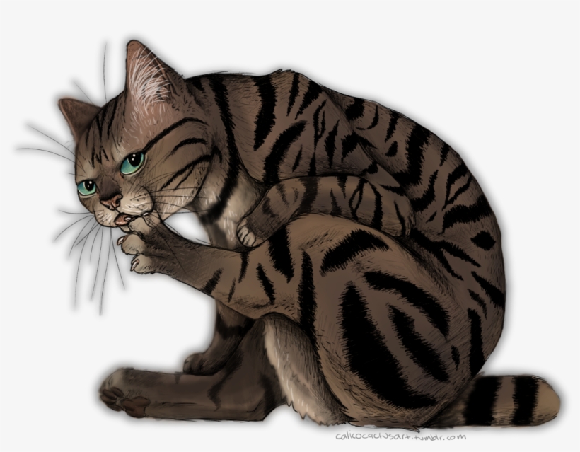 Bath Time - Cat Grabs Treat, transparent png download