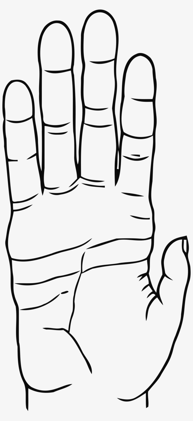 Big Image - Drawing, transparent png download