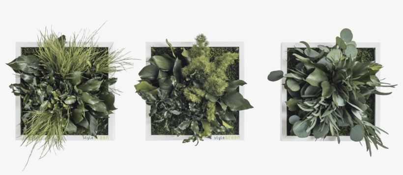 22 X 22 Set Van 3 - Artificial Flower, transparent png download