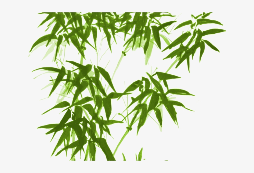 Drawn Bamboo Green Bamboo - Chinese Bamboo Ink Painting, transparent png download
