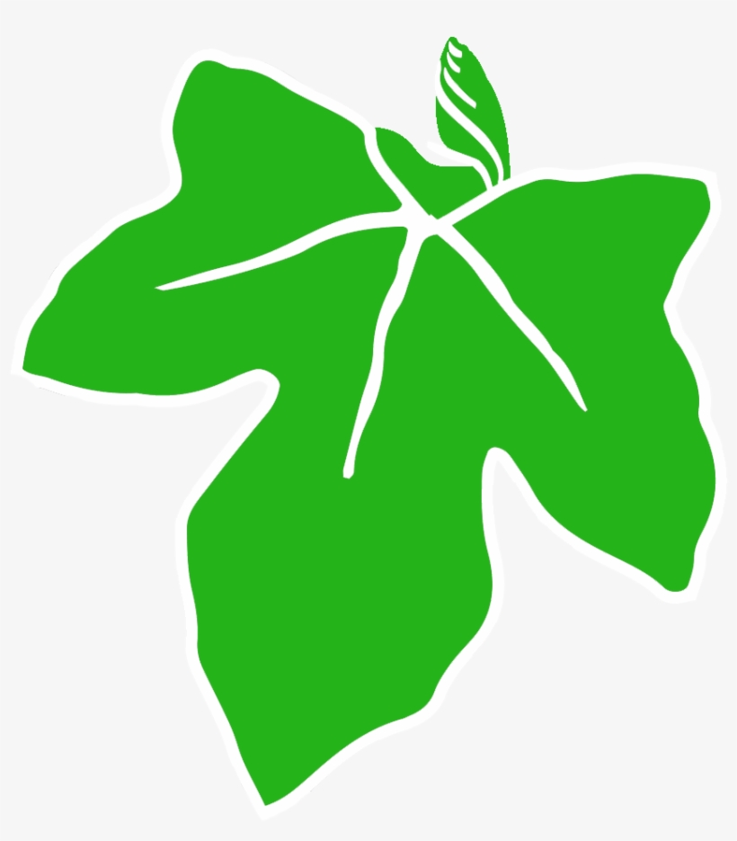 Old Ivy Brewery, transparent png download