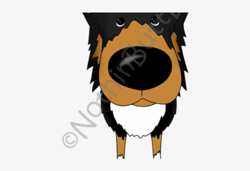 Bearded Collie Clipart Dog Nose - Cartoon, transparent png download