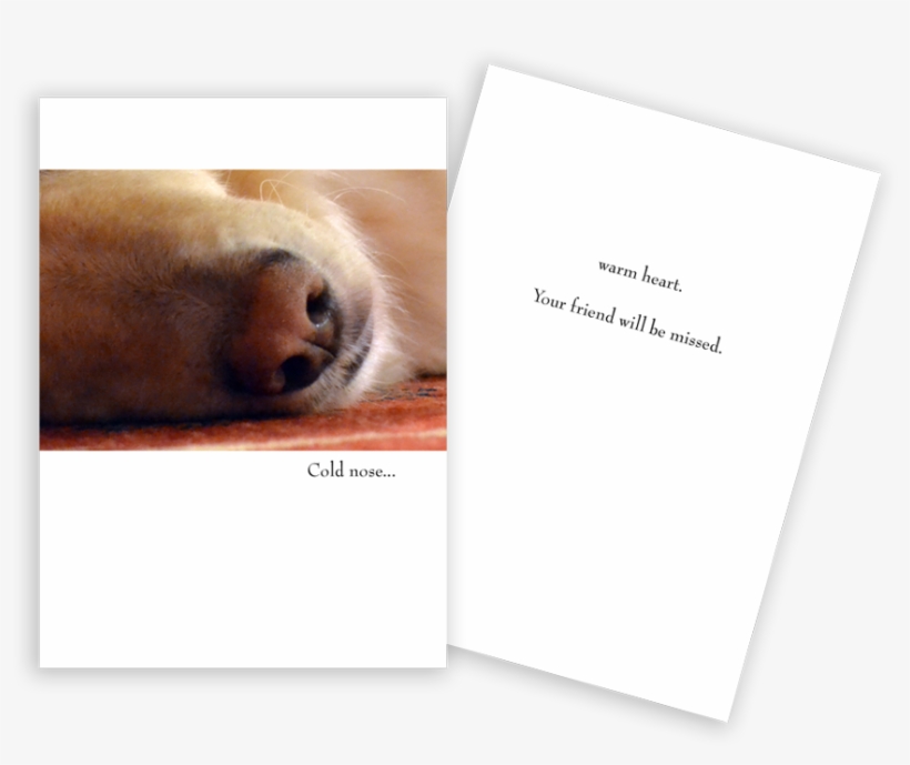 Sympathy Card Dog Nose - Golden Retriever Retirement Cards, transparent png download