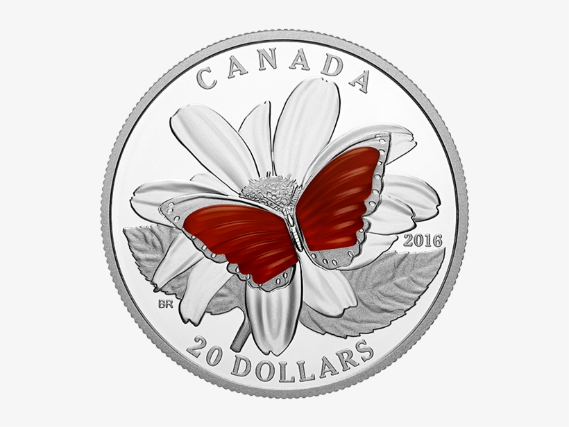 Pure Silver Coin Colourful Wings Of A Butterfly Mintage - Lycaena, transparent png download