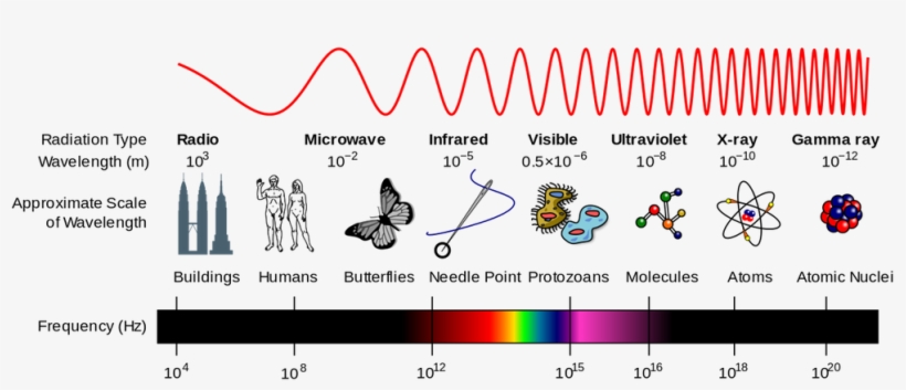 1000 X 394 3 - Electromagnetic Wave X Ray, transparent png download
