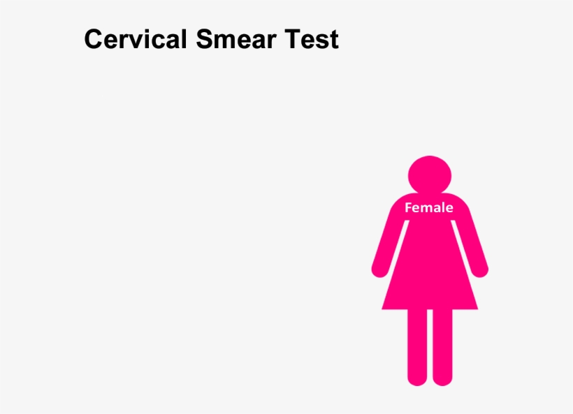 Cervical Smear Test, transparent png download