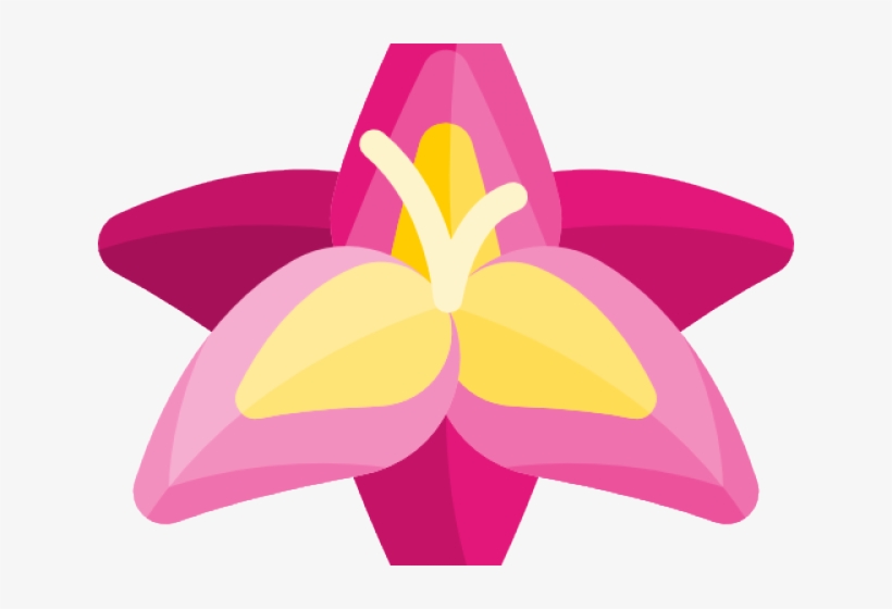 Gladiolus Clipart Pink Yellow, transparent png download