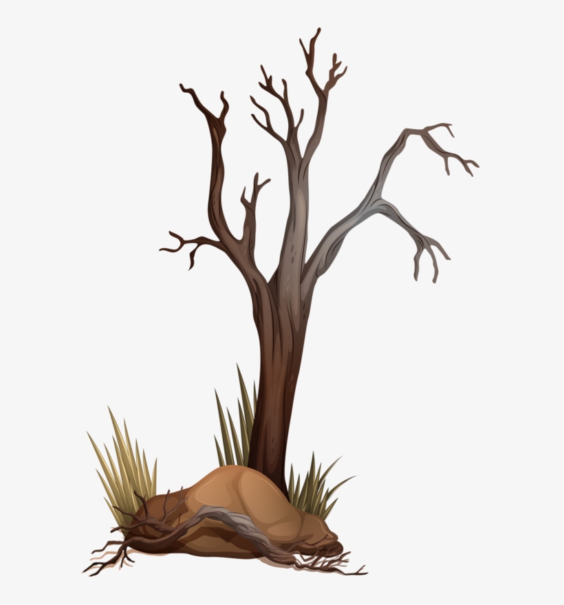 Árvore Seca 2 Frame Background, Tree Branches, Fall - Dying Tree, transparent png download