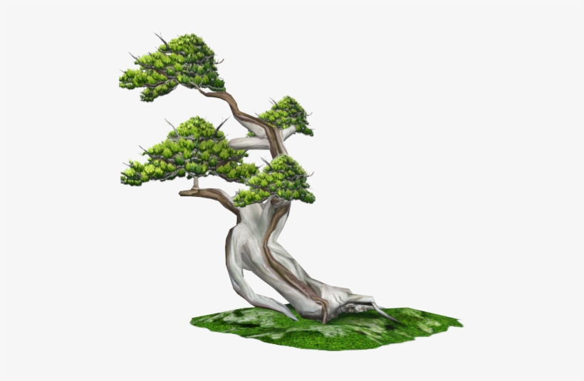 View5 - Sageretia Theezans, transparent png download