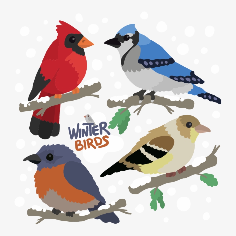 719 X 741 3 - Northern Cardinal, transparent png download