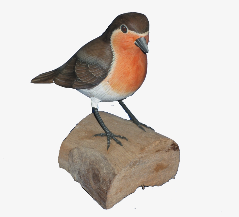 Log In To Your Account - European Robin, transparent png download