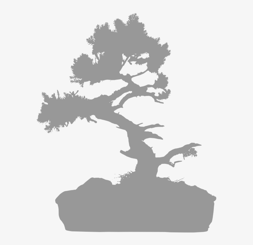 Awaiting Product Image - Sageretia Theezans, transparent png download
