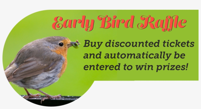 Early Bird, Adh Image For Blog - European Robin, transparent png download
