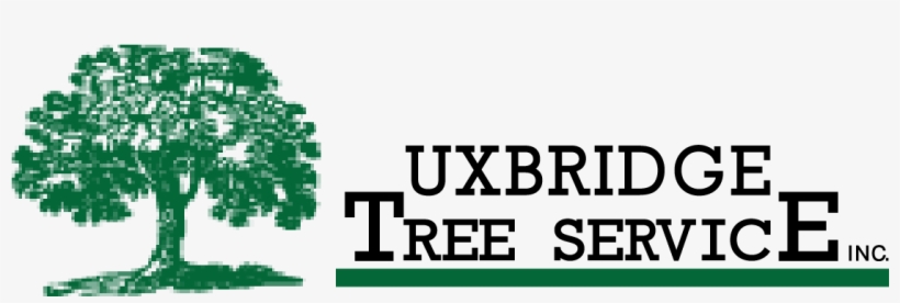 Shrubbery York & Durham Region - Oak Tree, transparent png download