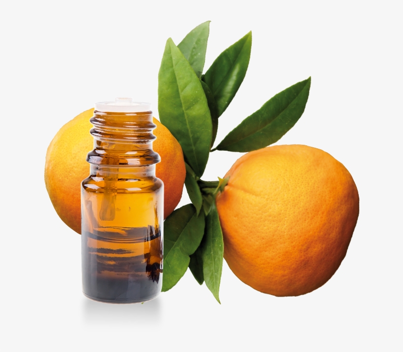 Mille Vertus Petitgrain Essential Oil 100% Pure - Huile Essentielle Petit Grain Bigarade, transparent png download