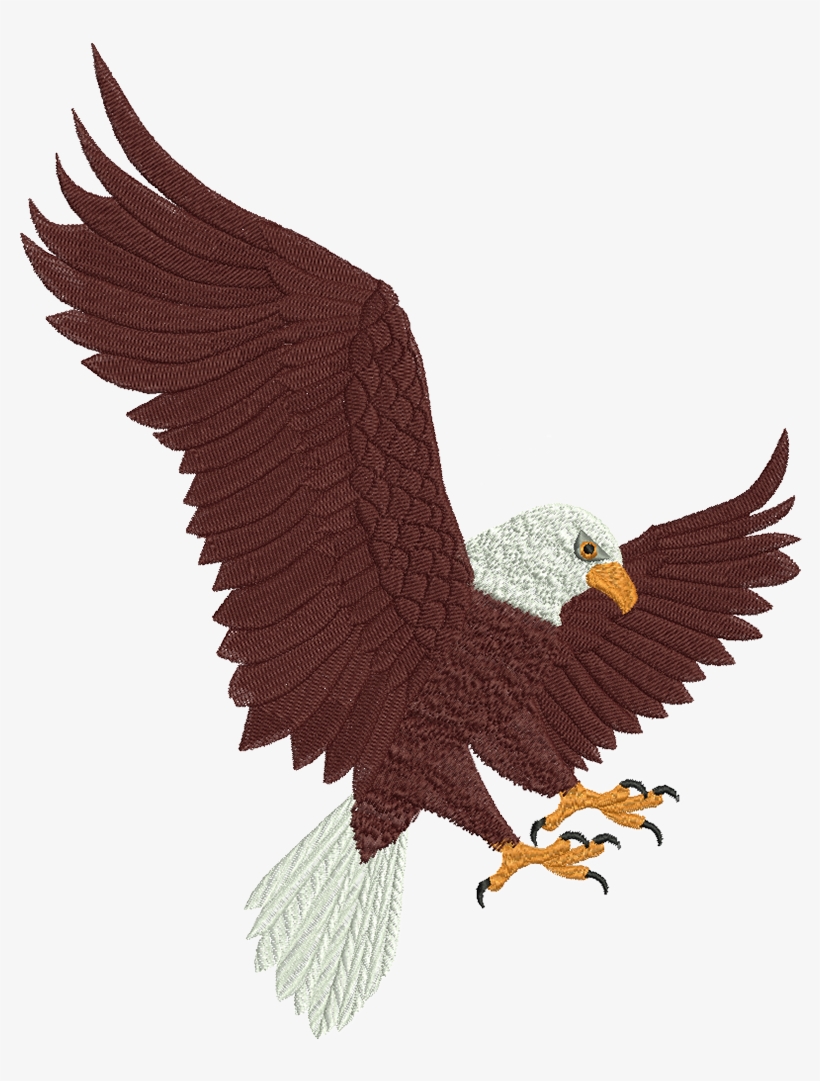 Bald Headed Eagle, transparent png download