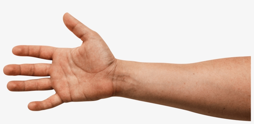 Download - Sign Language, transparent png download