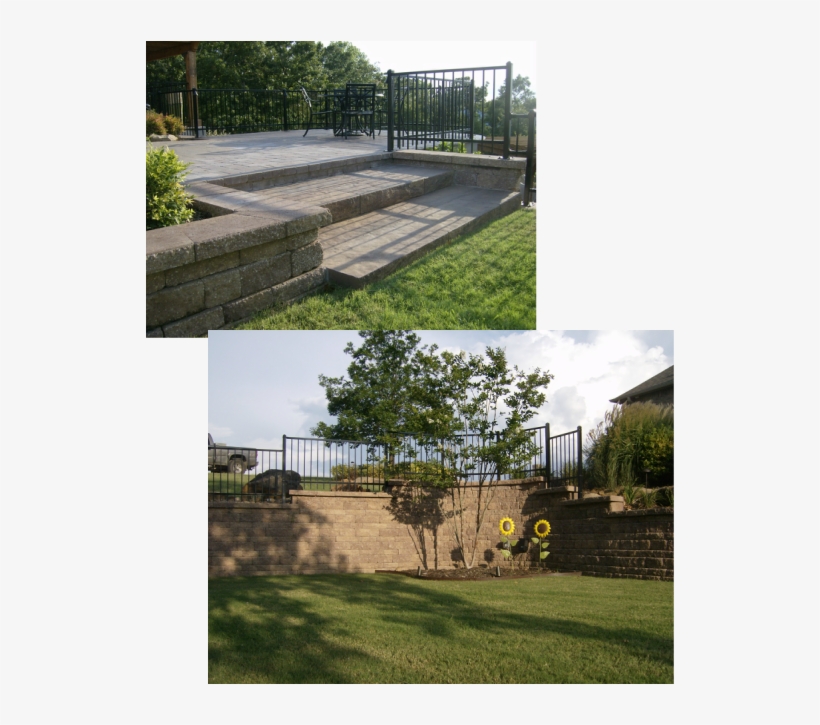 Picture - Grass, transparent png download