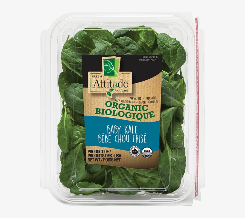 Organic Baby Kale - Organic Fresh Attitude Salad, transparent png download