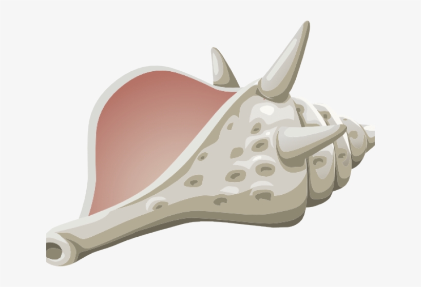 Shell Clipart Conch Shell - Seashells Clipart Public Domain, transparent png download