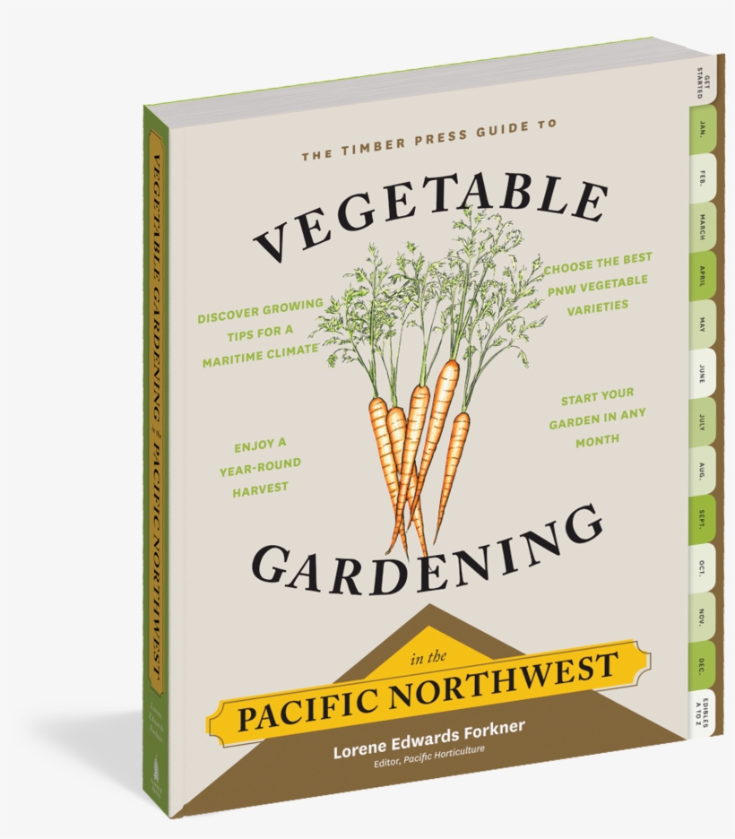 A Beginner's Guide To Growing Vegetables In Connecticut - Chard, transparent png download