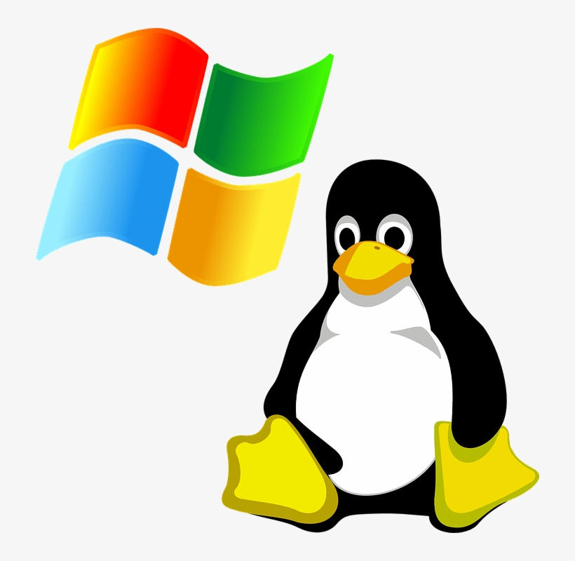 Linux Hosting Clipart Penguin - Linux Penguin, transparent png download