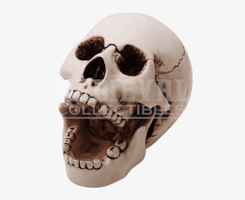 Ceramic Ashtray Cc By Medieval Collectibles - Human, transparent png download