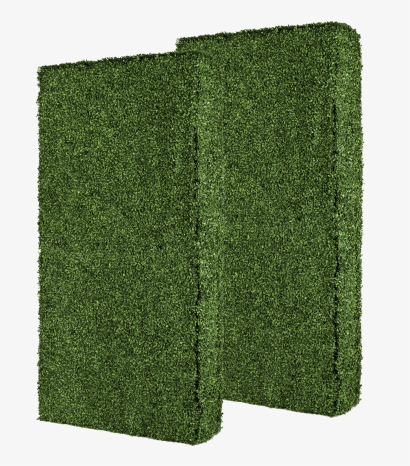 Free Standing Boxwood Hedge Without Planter Box - Placemat, transparent png download