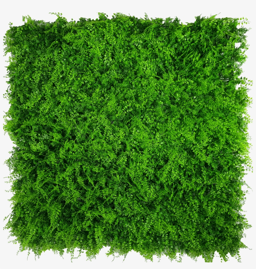Mixed Fern Artificial Green Wall Hedge Panel, transparent png download